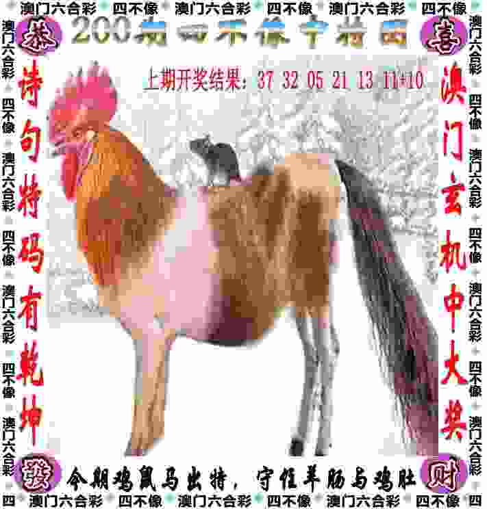 777788888888王中王 v21.9.79.91 官方正式版 2